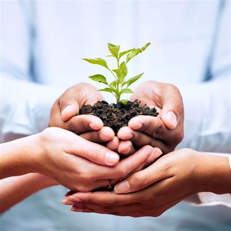Nonprofit HR Collaborative.